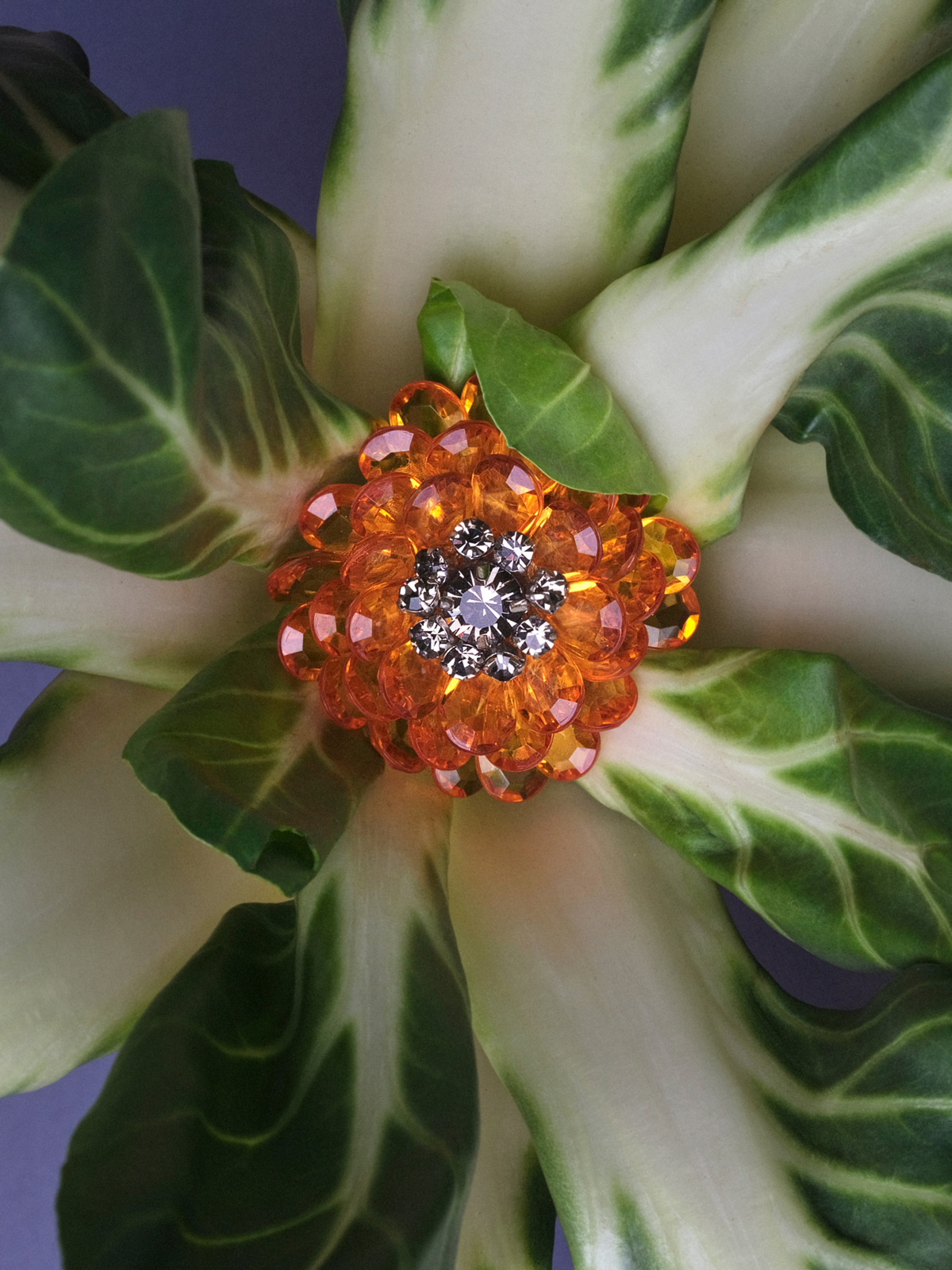 Mise au vert — Brooch with Swarovski crystals Dice Kayek